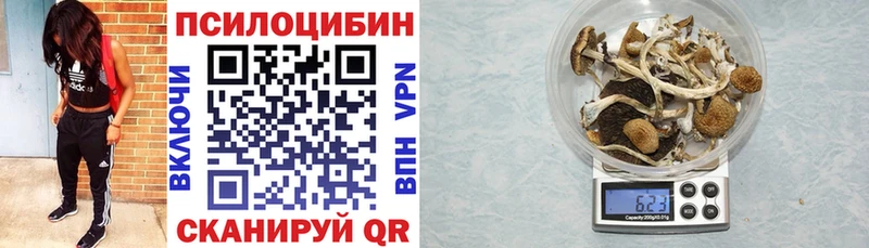 купить наркотики цена  Комсомольск  Псилоцибиновые грибы Magic Shrooms 